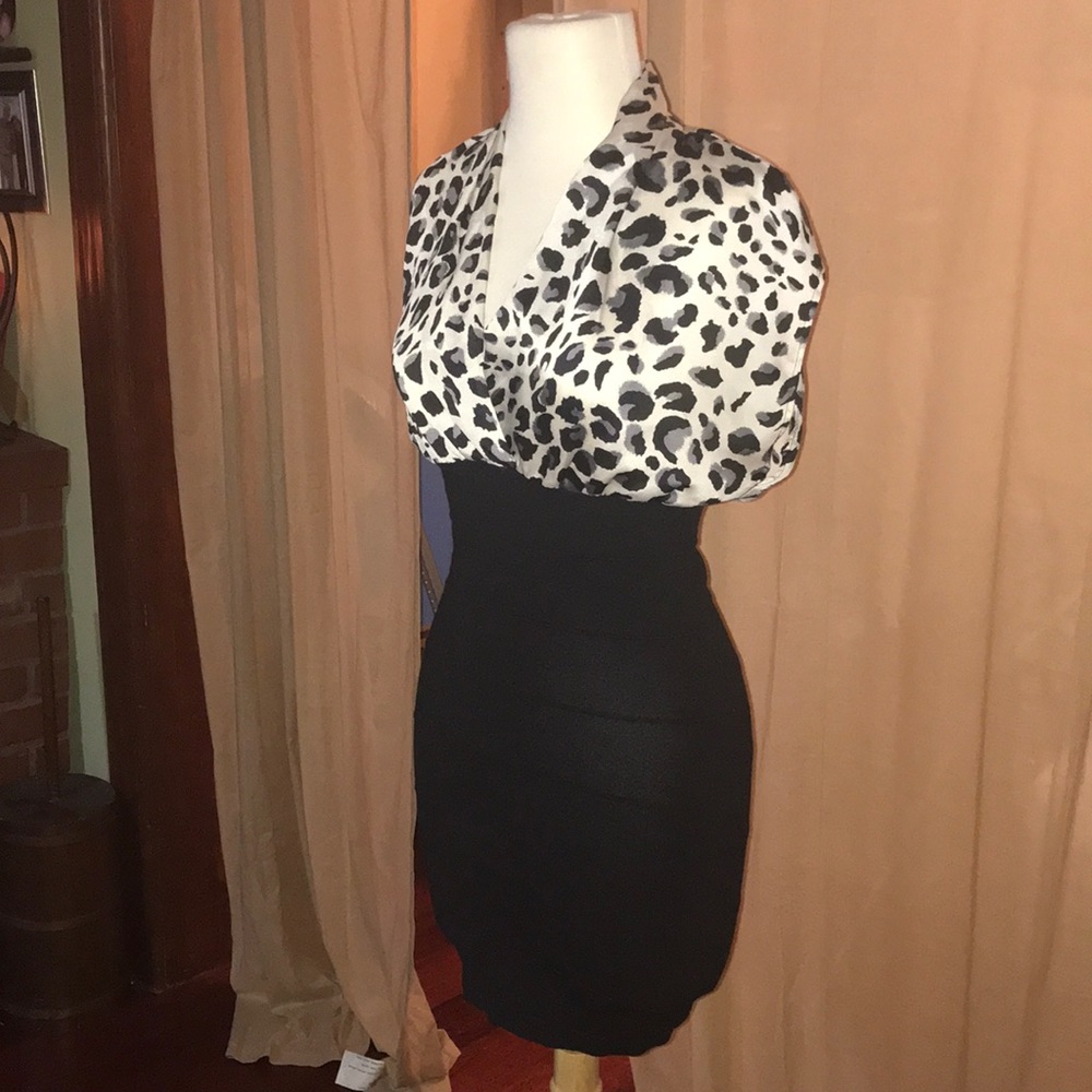 Cute cheetah and black dress